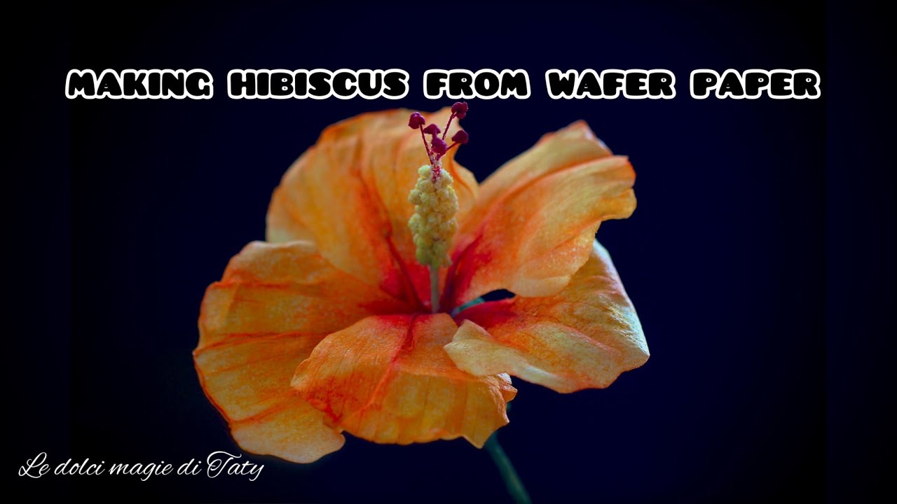 Making hibiscus from wafer paper