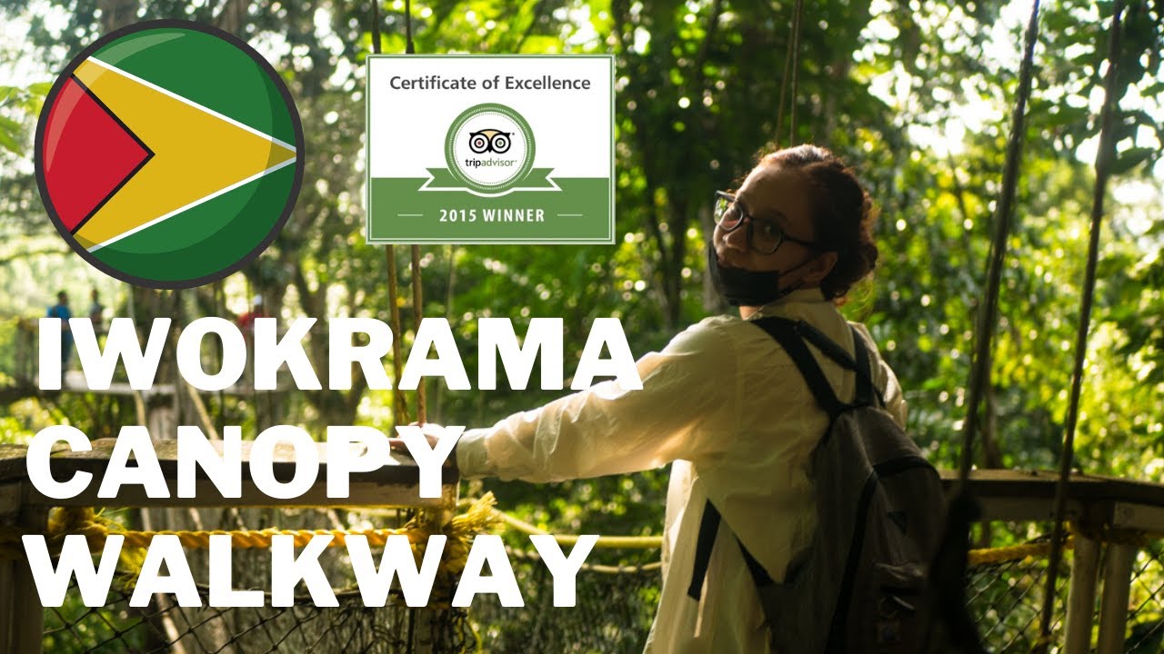 Travel Guyana ,Iwokrama canopy walkway Guyana