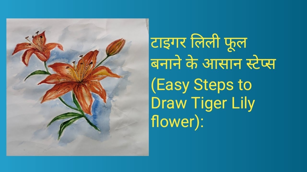 @🌺Easy Steps to Draw Tiger Lily Flower | Simple Flower Drawing Tutorial for Beginners
