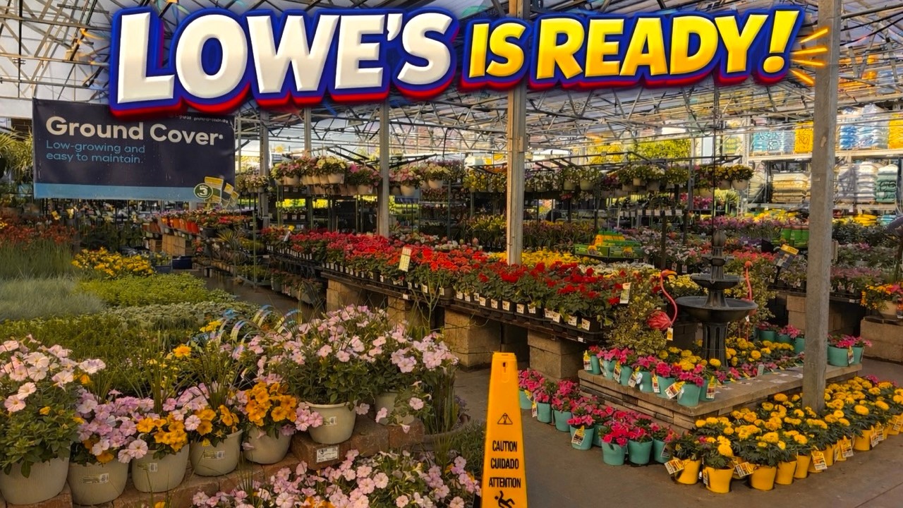 Садовый центр Lowe’s 🌸 полон свежих товаров, поступивших в продажу на выходные!!!!