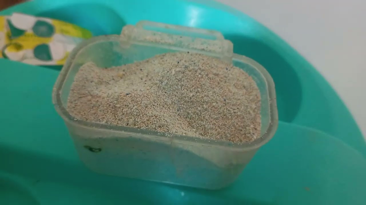 مهيج جنسي أول مرة راح تسمع بيه للتجهيز والغناء وزيادة عدد البيض  للكناري وحسون وبادجي  الخ  . 