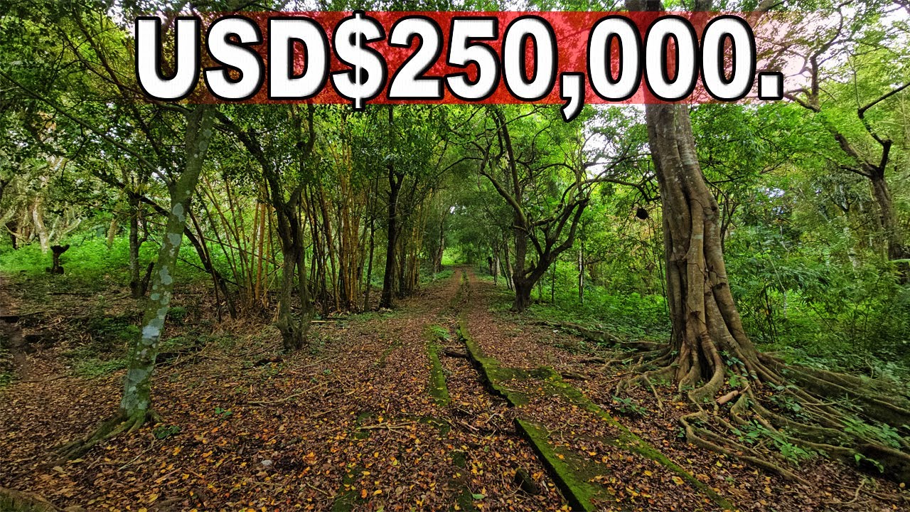 9.5 Manzanas de Terreno en VENTA en Catarina