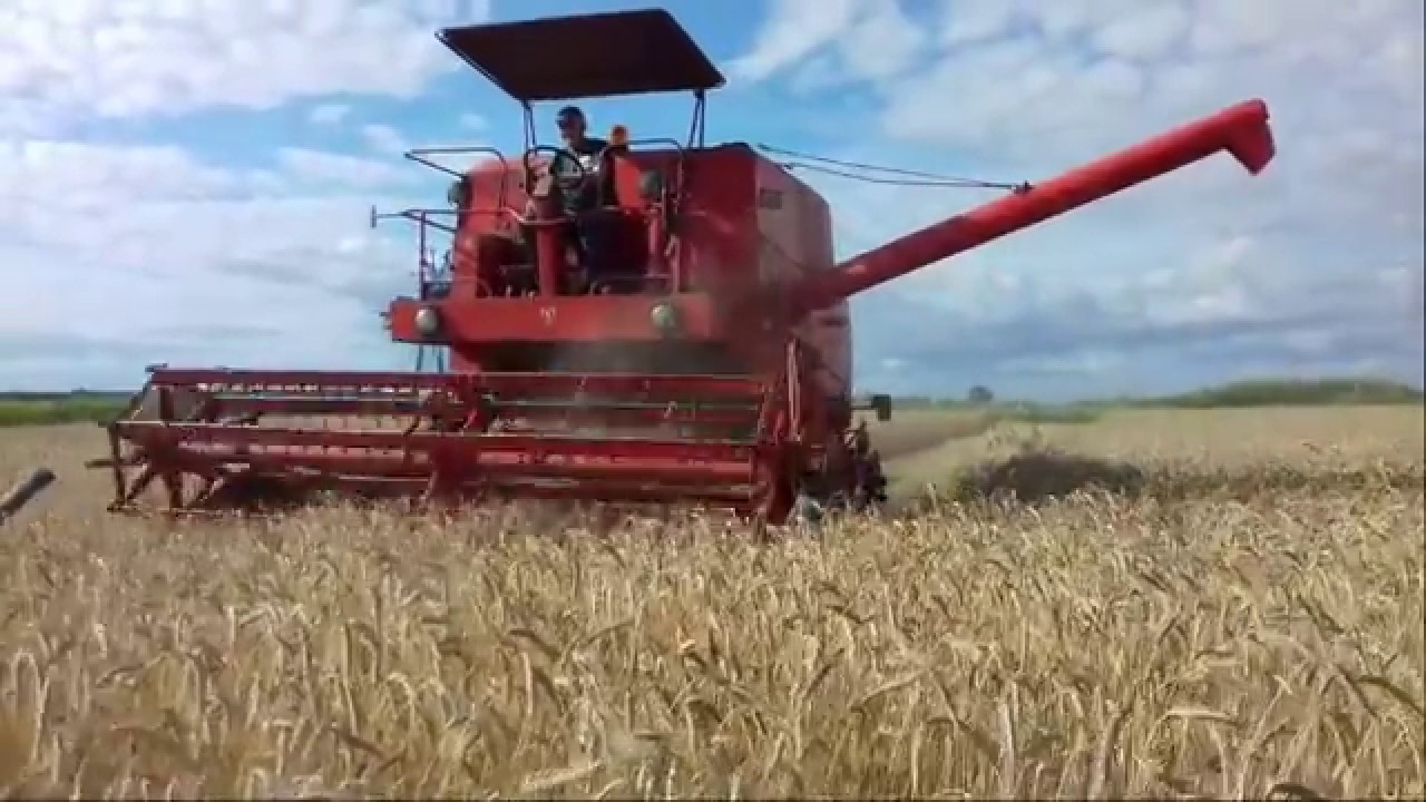 Żniwa 2019 Przeżyto Pod Kose & Bizon Z050