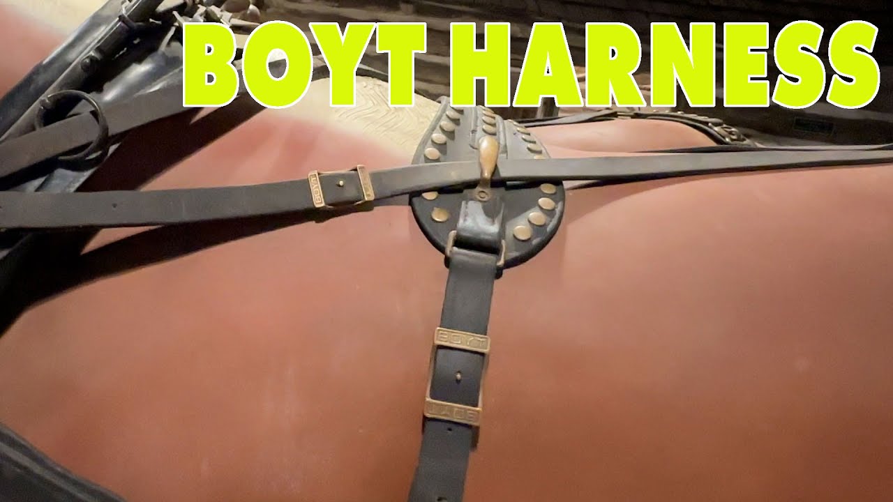 Boyt Harness