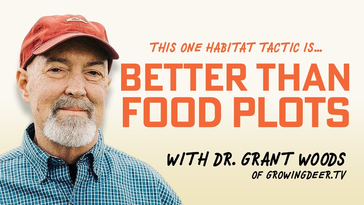The One Deer Habitat Tactic BETTER than Food Plots with Dr. Grant Woods