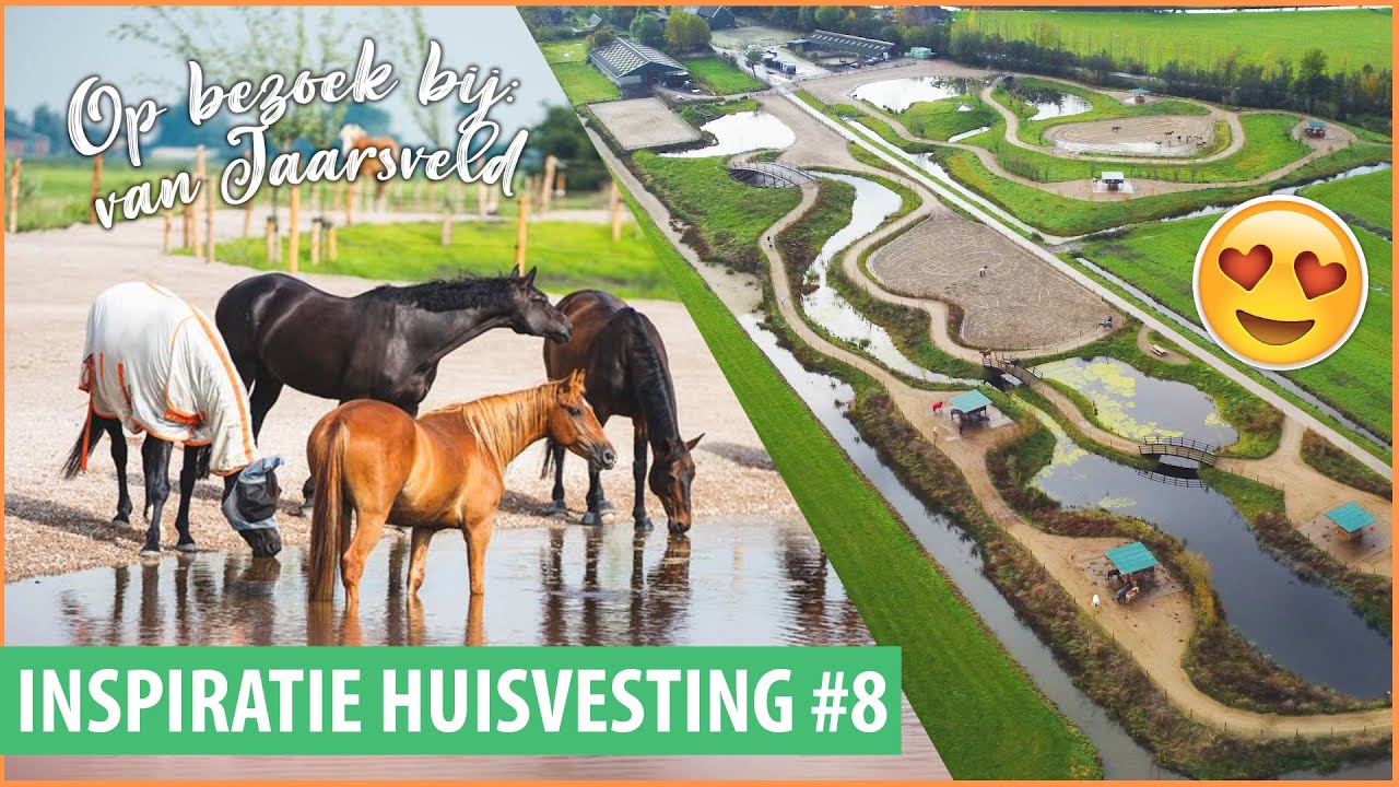 De ALLERGAAFSTE plek voor je paard OOIT + WATERVAL!! | felinehoi INSPIRATIE HUISVESTING #8