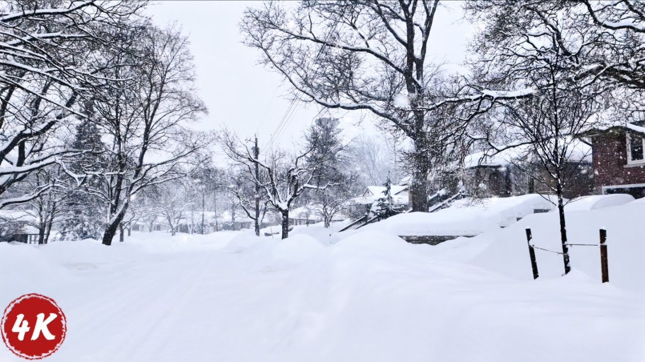 Blizzard Walk: A Tranquil Stroll Through a Canadian Neighbourhood in a Snowstorm｜Feb 16, 2025