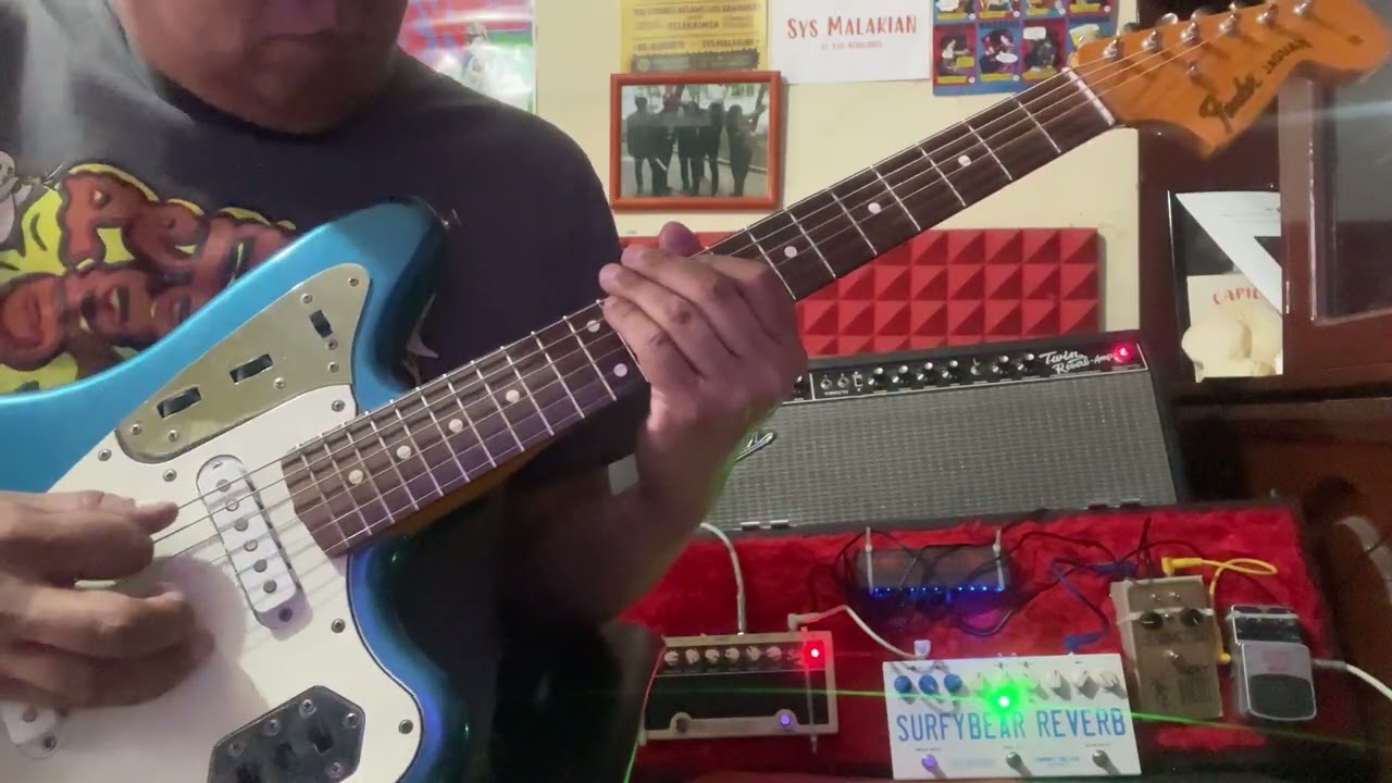 Les Agamemnonz - El Tremblador (Surfy man + Surfy Bear Compact Deluxe) cover by Sys Malakian