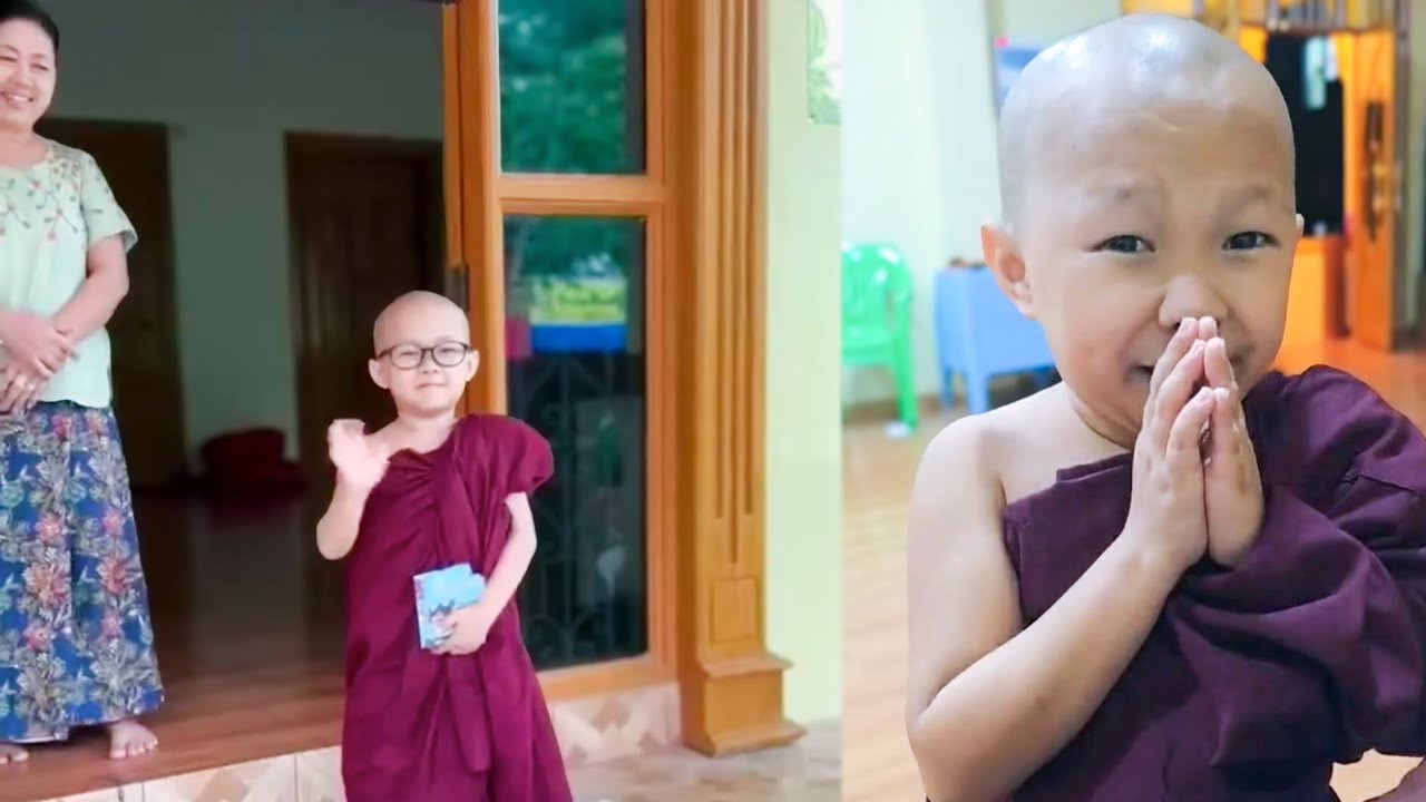 ကိုရင်လေး ရှင်ဥတ္တမသာရ၏ ကြည်ညိုဖွယ်ရာ သာသနာပြု မှတ်တမ်းများ 🙏 Shin Ottamasara 