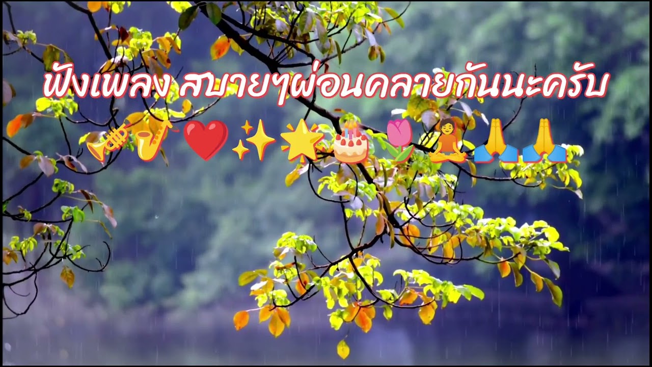 ลองฟังเพลง : แต่คงขึ้นสดๆร้อนๆยังไม่มีในค่ายใด ไพเราะจับใจ ไม่เหมือนใครและไม่มีใครเหมือน👍🎷🎺✨🌟