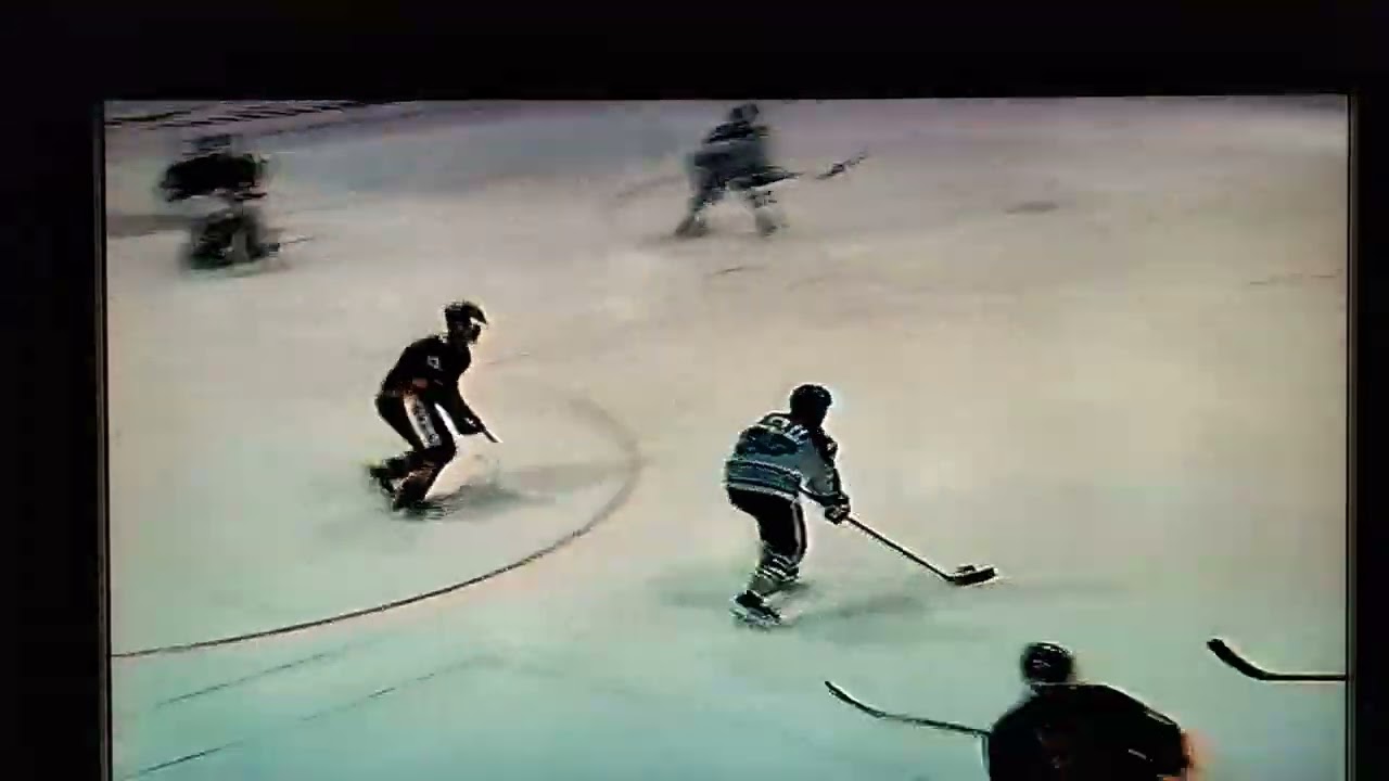 EV Landsberg vs. Duisburger SC 1989/90