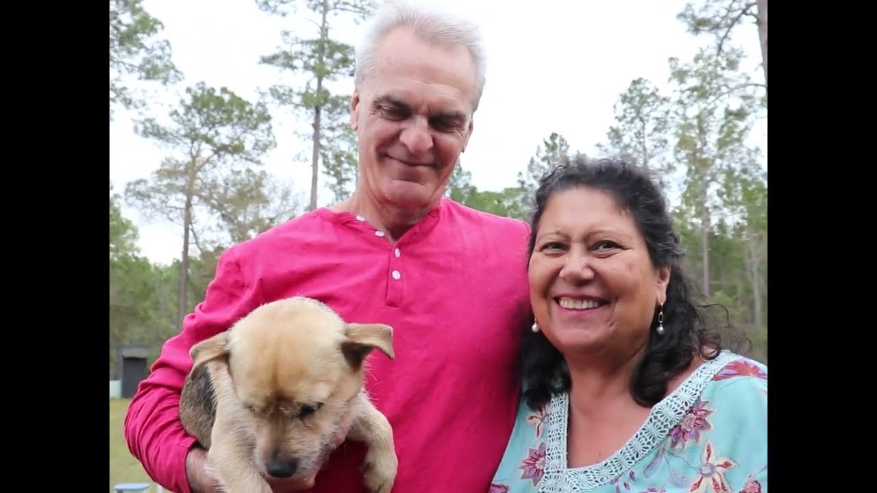 St. Helena Island, Paradise at a Price