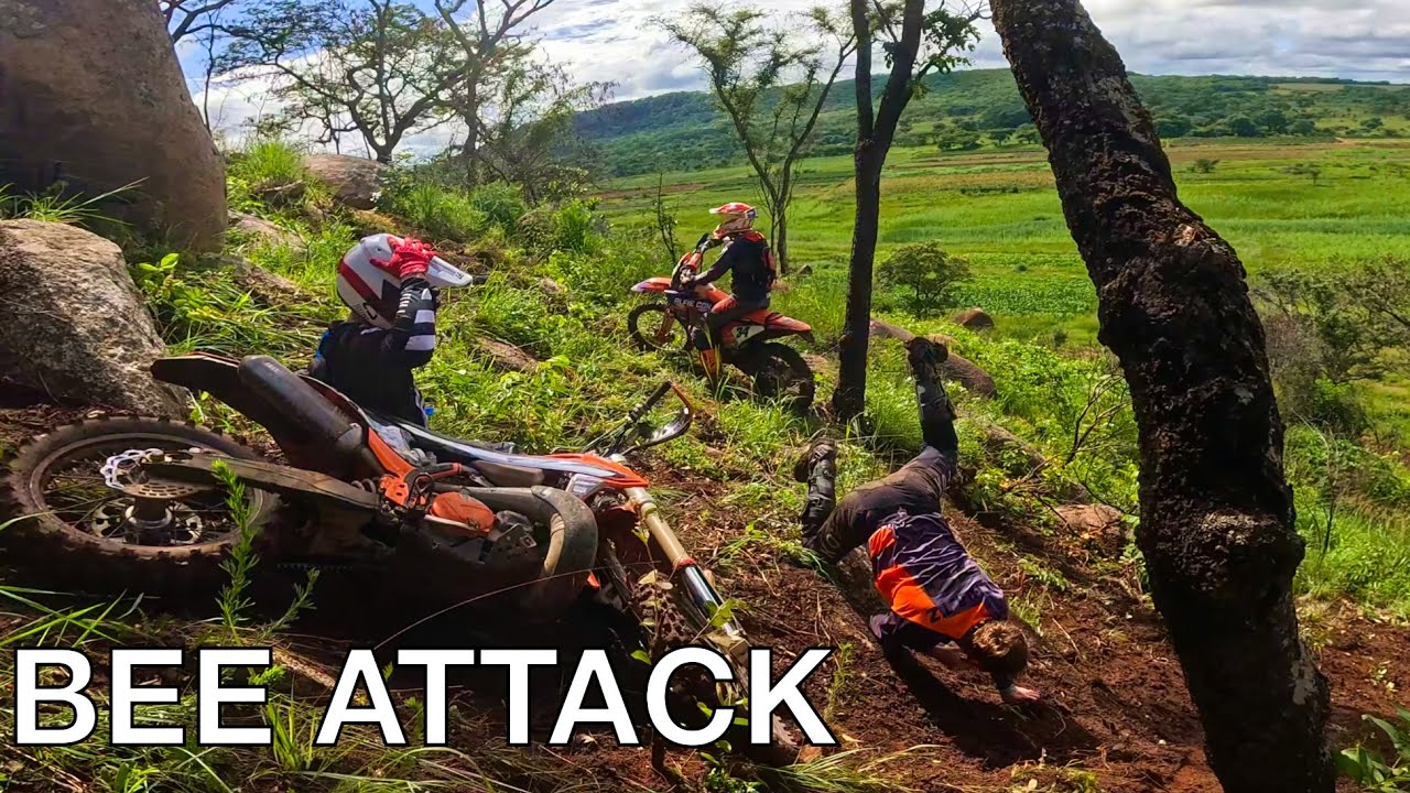 Marondera Enduro Zimbabwe | ATTACKED BY BEES