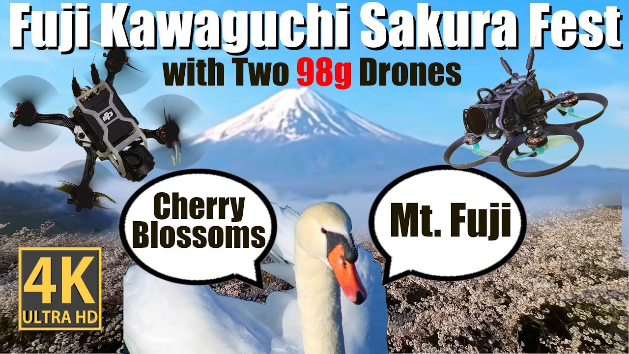 Betafpv Pavo Pico Toothpico fly into Cherry Blossoms at Fuji Kawaguchi Sakura Festival Japan