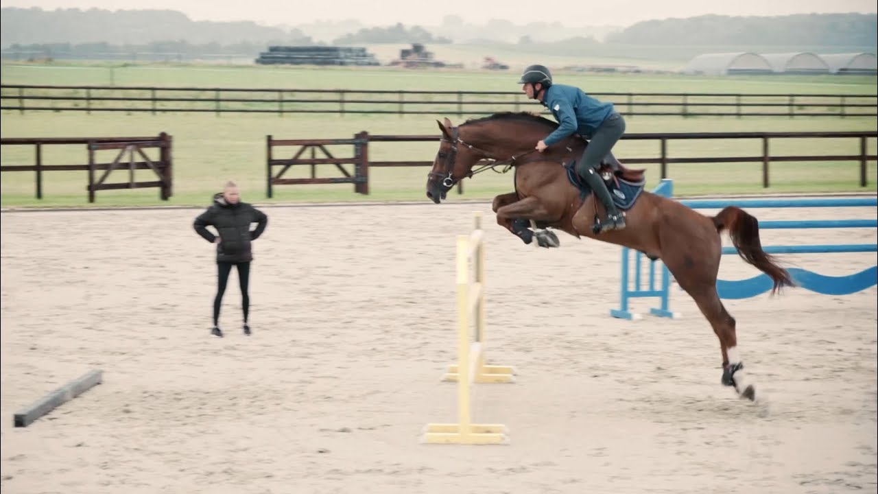 Grégory Wathelet • Why do you ride? Episode 2 • Horse Pilot