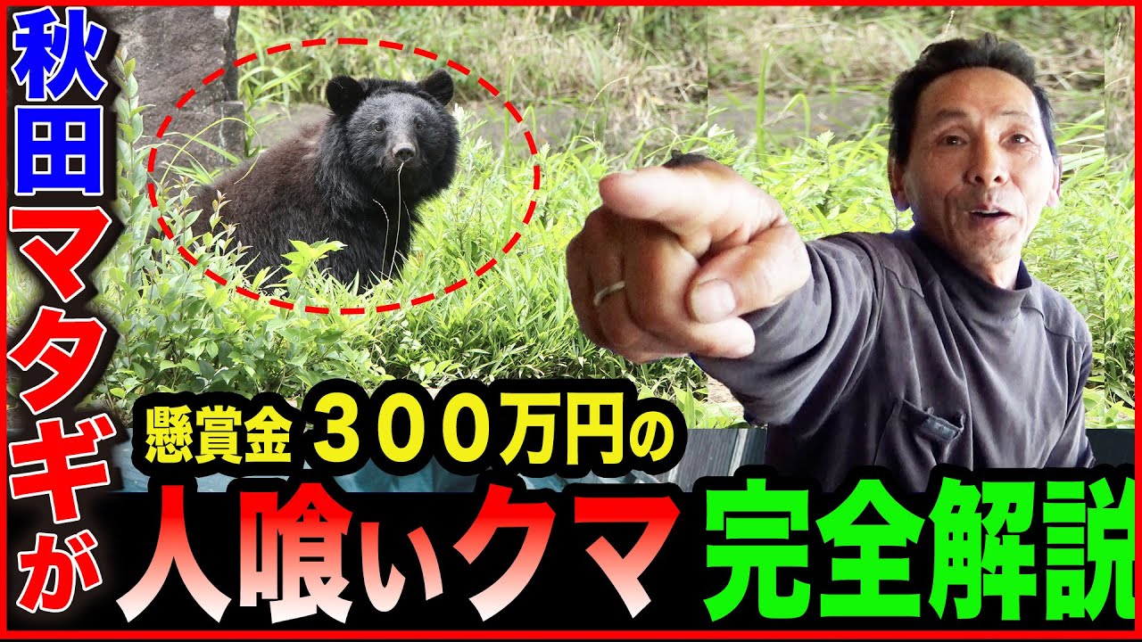 【現役マタギ】賞金300万円！？今も秋田の山に潜む人喰いグマについてマタギが徹底解説