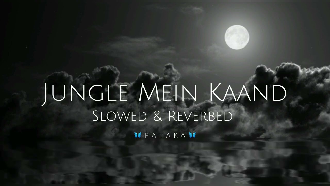 Jungle Mein Kaand | Slowed and Reverbed | Bhediya | @_pa_ta_ka_