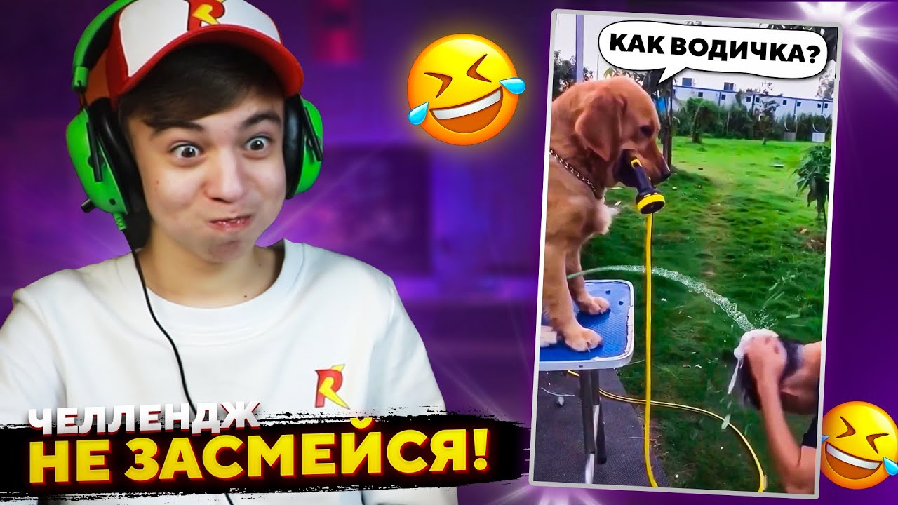😂 Собака ЗА ЧТО??? ➢ НЕ ЗАСМЕЙСЯ ЧЕЛЛЕНДЖ или МАМИНА ПОДБОРКА #46