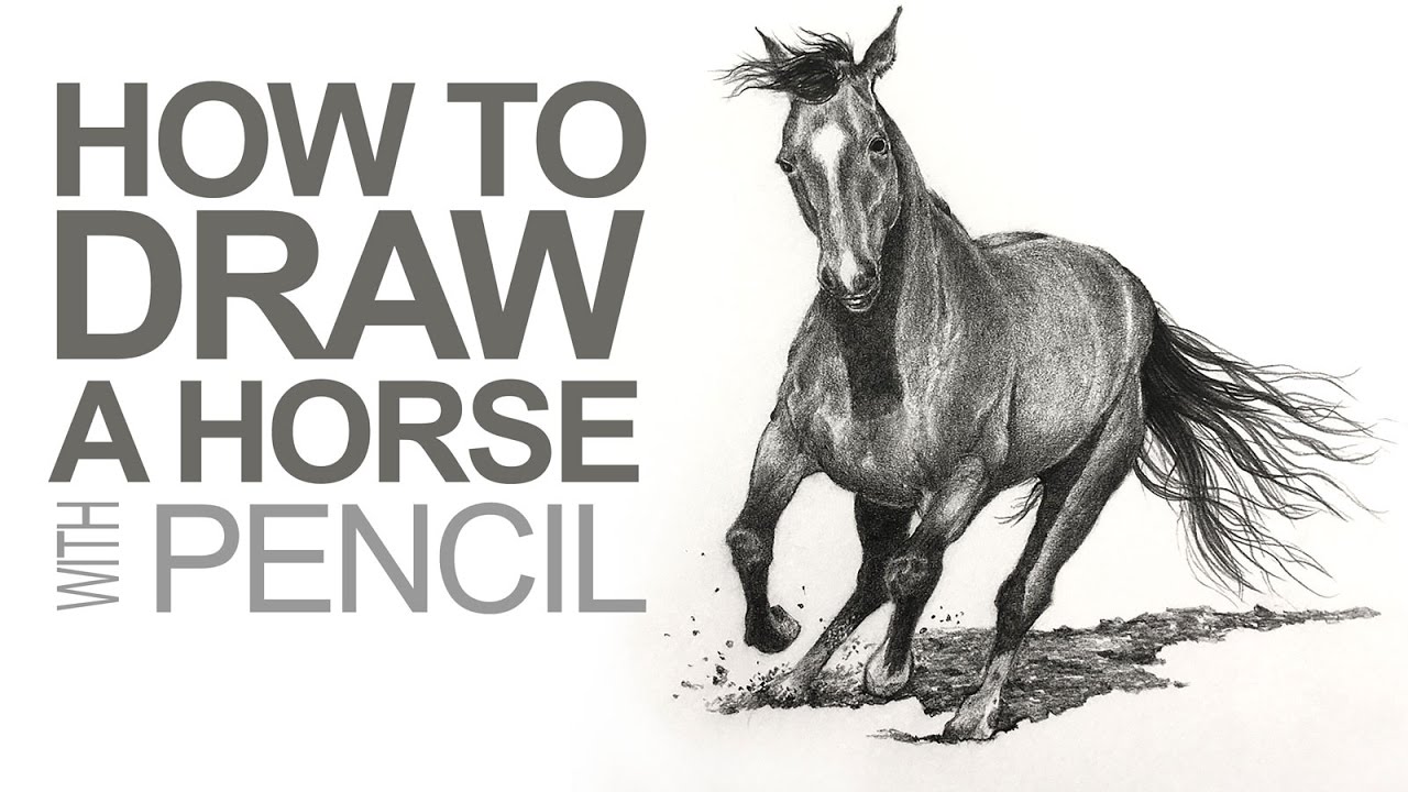 How to Draw a Horse - Graphite Pencils