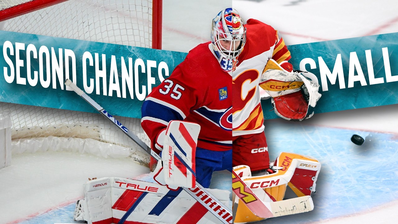 Does the NHL Have a Goalie Problem?