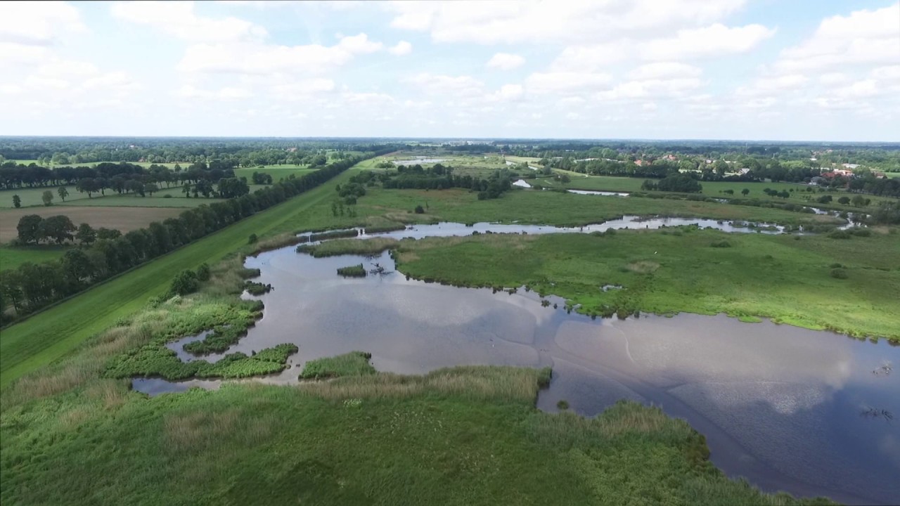 Ausdeichungsgebiet Apen   Hengstforderfeld - FullHD