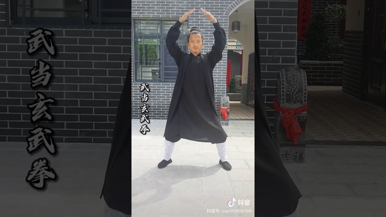 武當玄武拳 成師一道長 Wudang Xuan Wu Quan  by Master Chen Shiyi