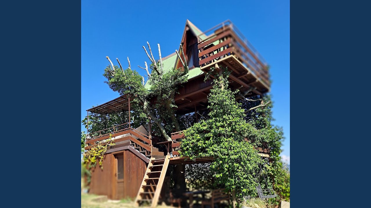 My Dream House
