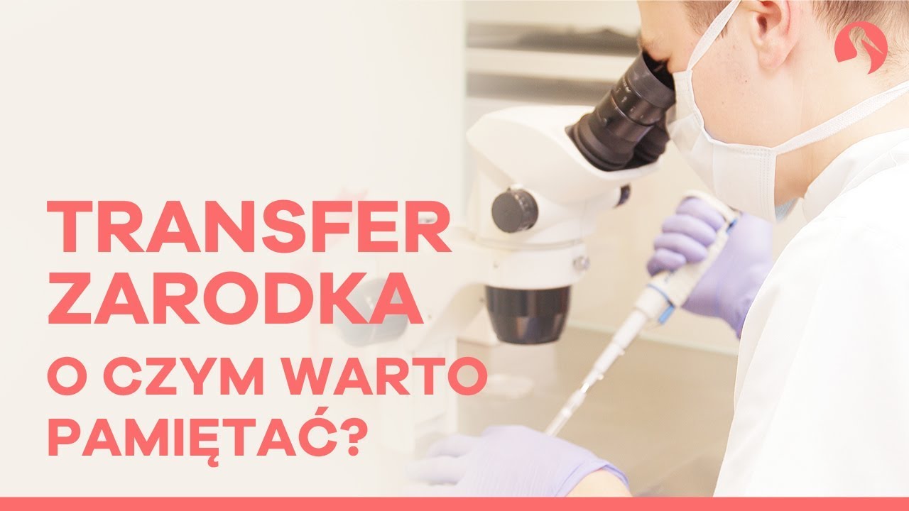 In vitro transfer zarodka - jak się przygotować?