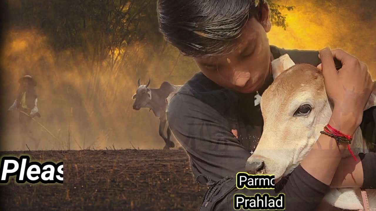 Gau Mata Tera Haal Dekhkar ÷ Surender Romio (official video) Haryanvi video 2022  Prahlad khatak.