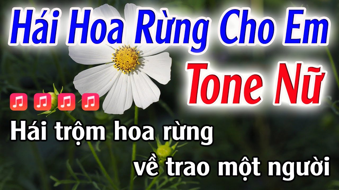 Hái Hoa Rừng Cho Em Karaoke Tone Nữ ( Bm ) Đăng Khôi Karaoke - Beat Mới Dễ Hát