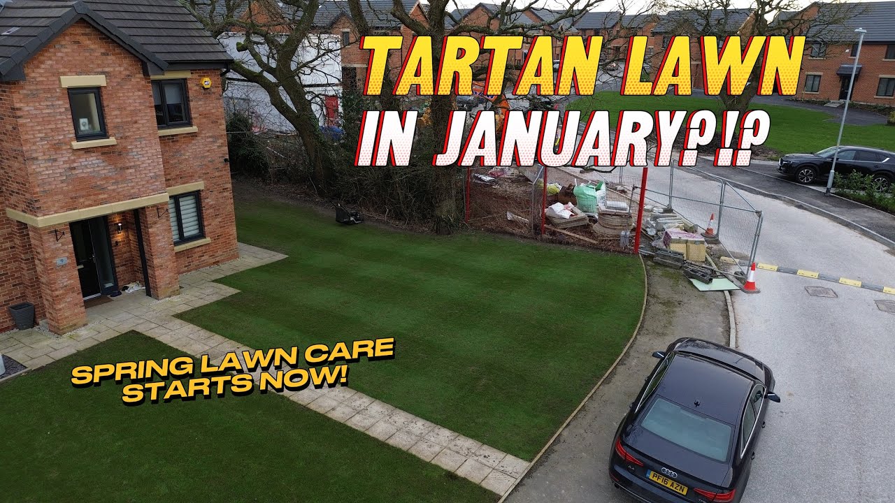 Spring Lawn Care Starts Now!  / Tartan Lawn Stripes in January!