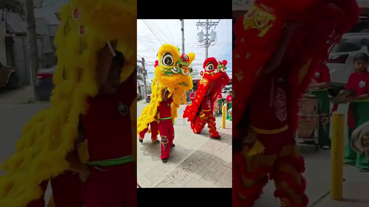 2026 Chinese New Year