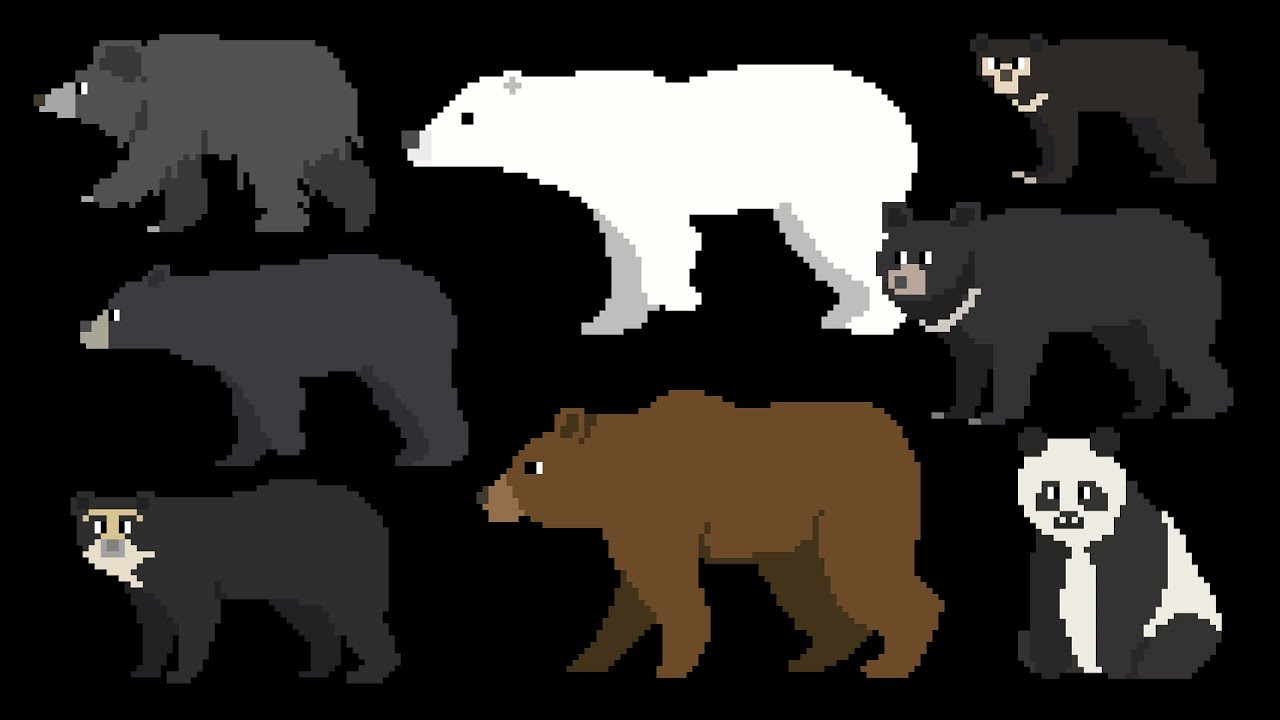 Bears - The Kids' Picture Show
