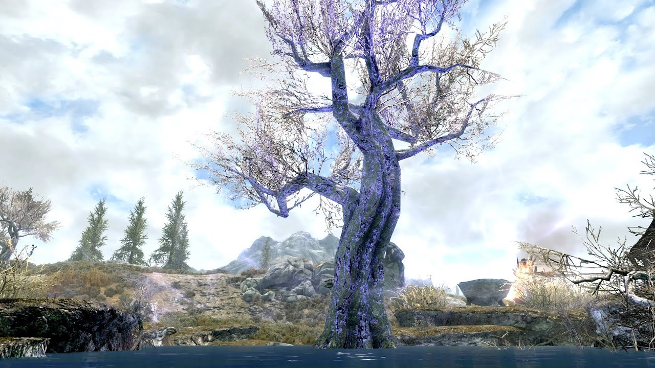 Sleeping Tree Camp - NEW Skyrim's Hidden Treasures!