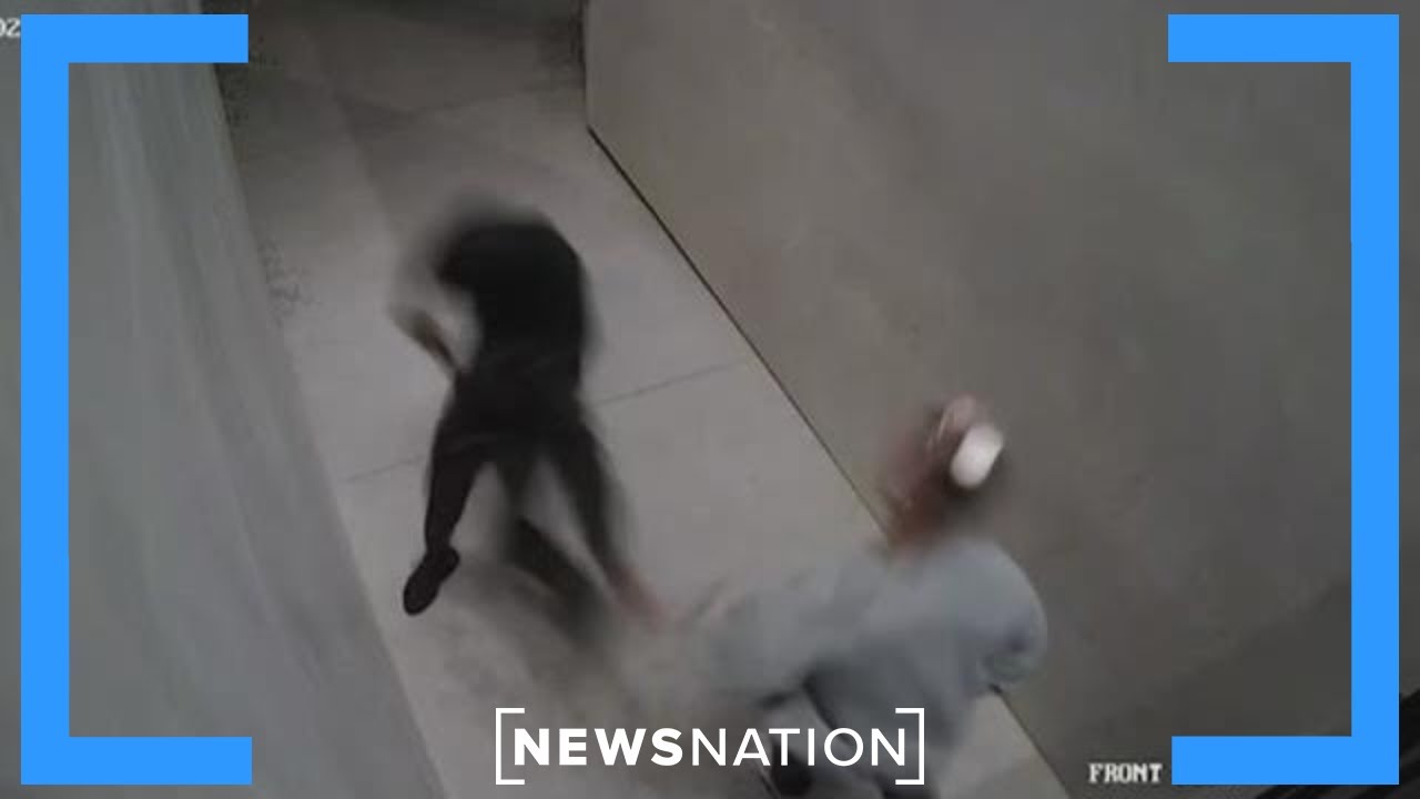 LA homeowner loses gun permit after shooting at armed attackers | Banfield