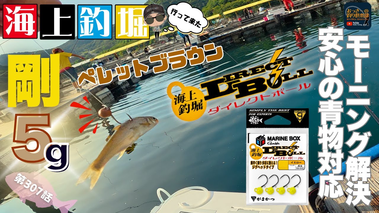 【海上釣堀】解決！鯛も青物もこれで掛ける　剛の５gペレットブラウン