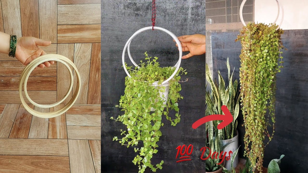 Hang Your Plants in Style with This Rustic Embroidery Hoop Planter Holder