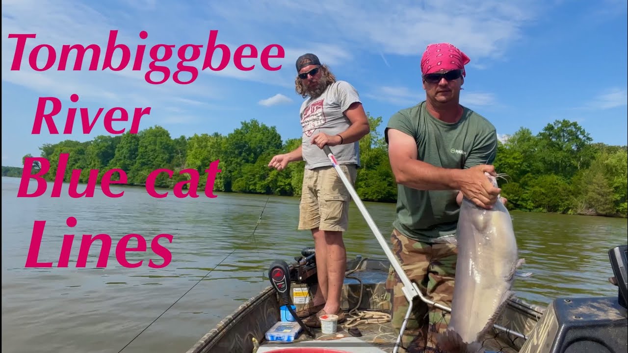 Tombiggbee river blue catfish lines