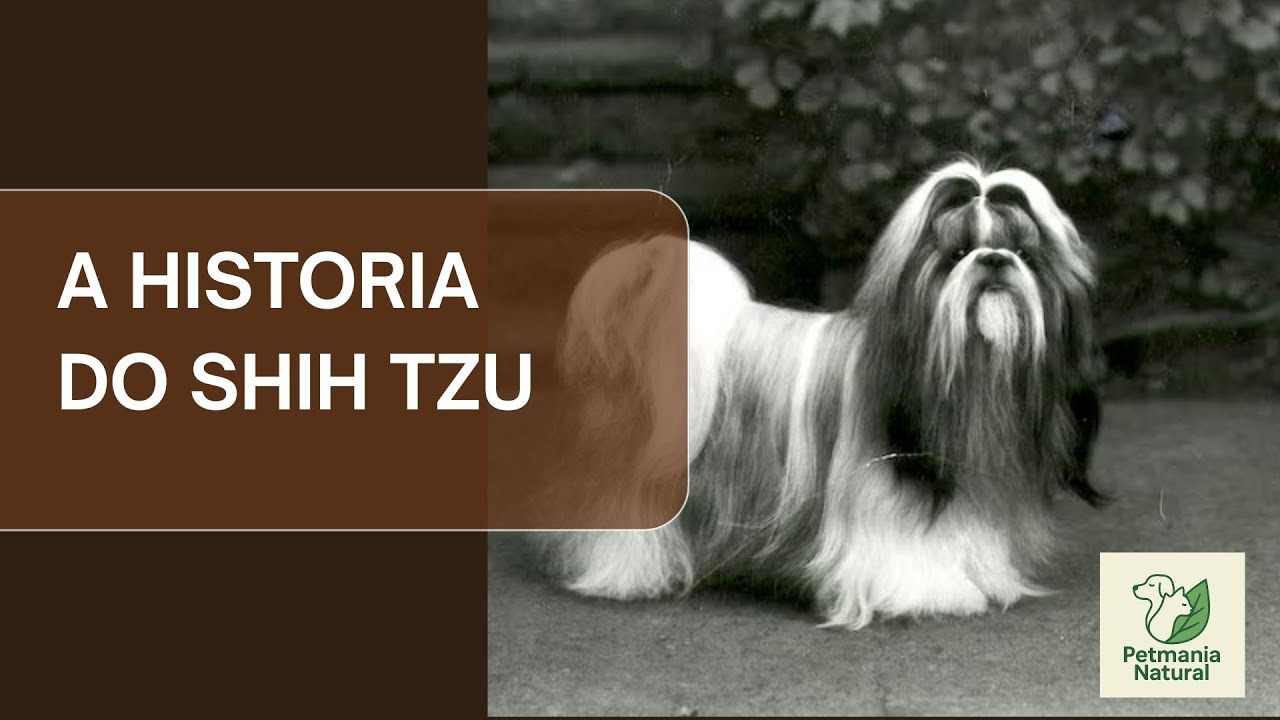 SHIH TZU : A HISTÓRIA NÃO CONTADA