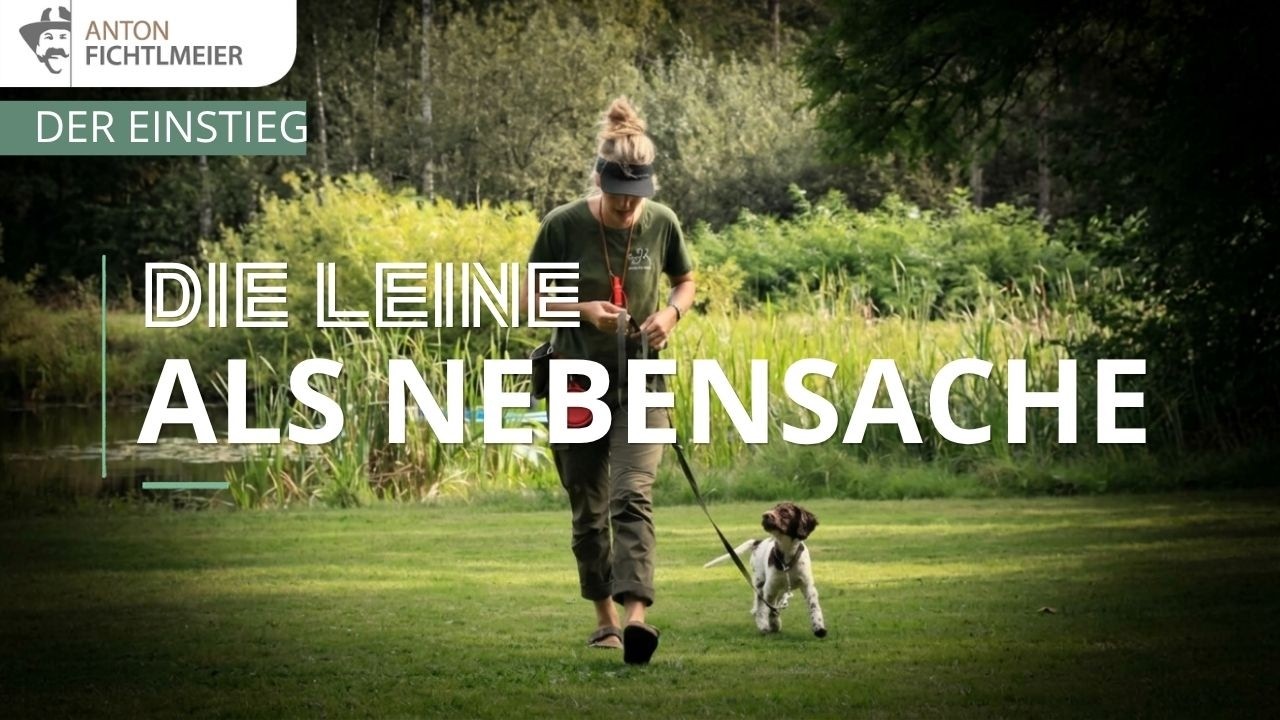 Der Weg zur Leine als Nebensache - Hundetraining nach Anton Fichtlmeier