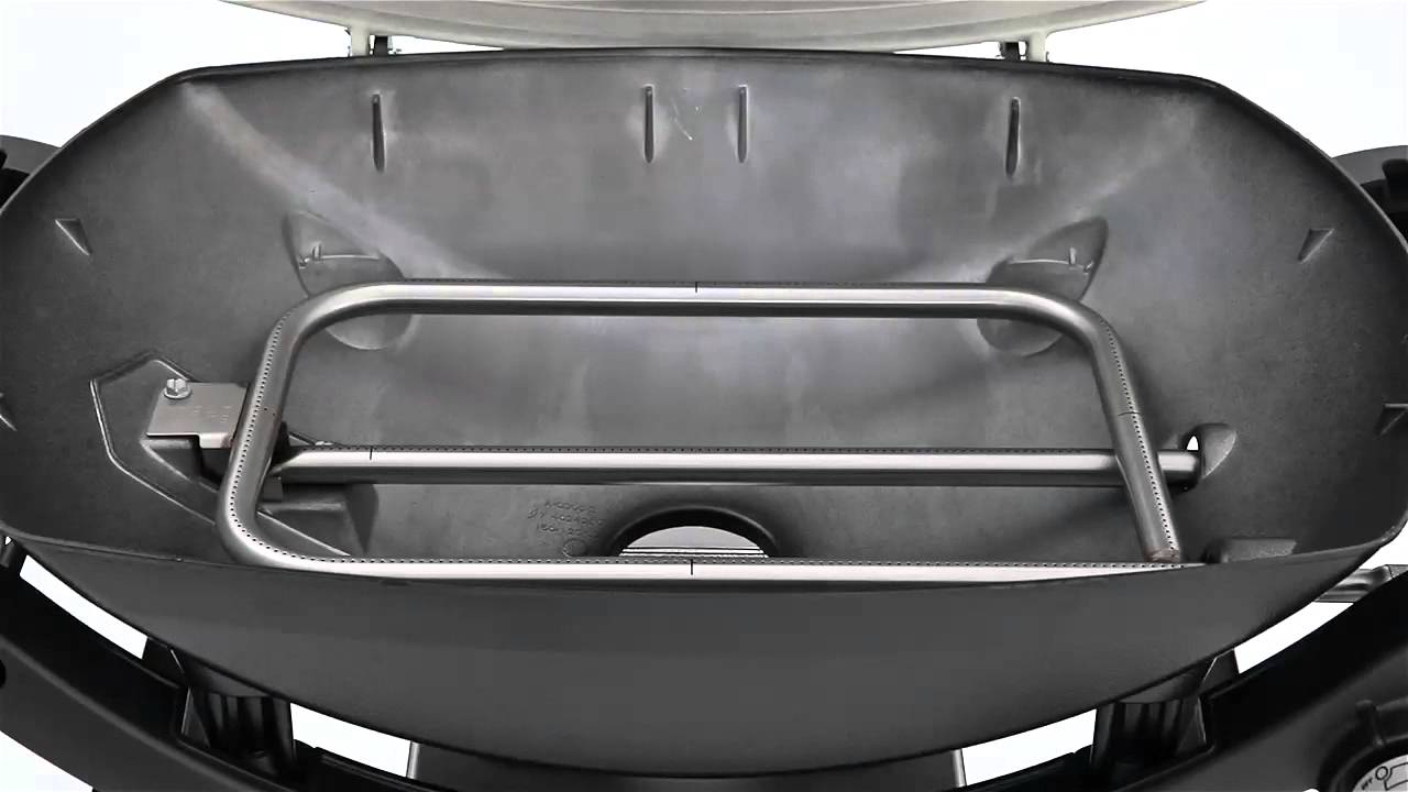Weber&reg; Q&reg; 300