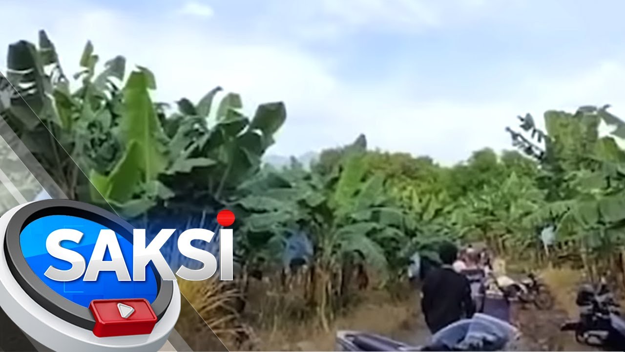 Babaeng architect na natagpuang patay sa sagingan, sinakal at ginahasa umano | Saksi