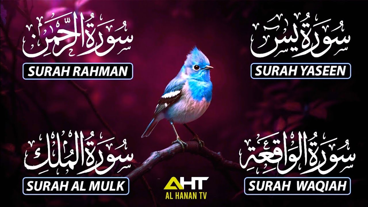 Relaxing & Heart-Touching Quran Recitation | Surah Yaseen | Surah Rahman | Surah Waqiah | Surah Mulk