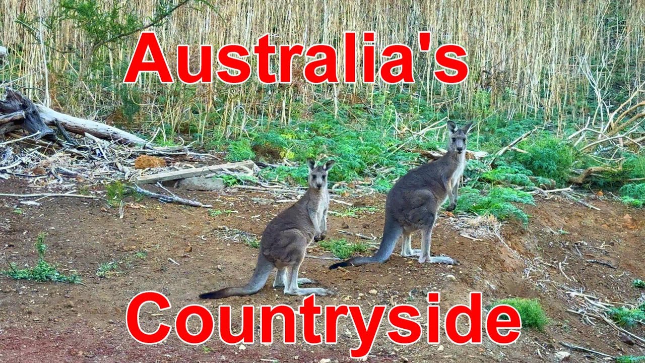 Australia, Part 3. A car ride through the Countryside. Koroit, Bathurst. April, 2025