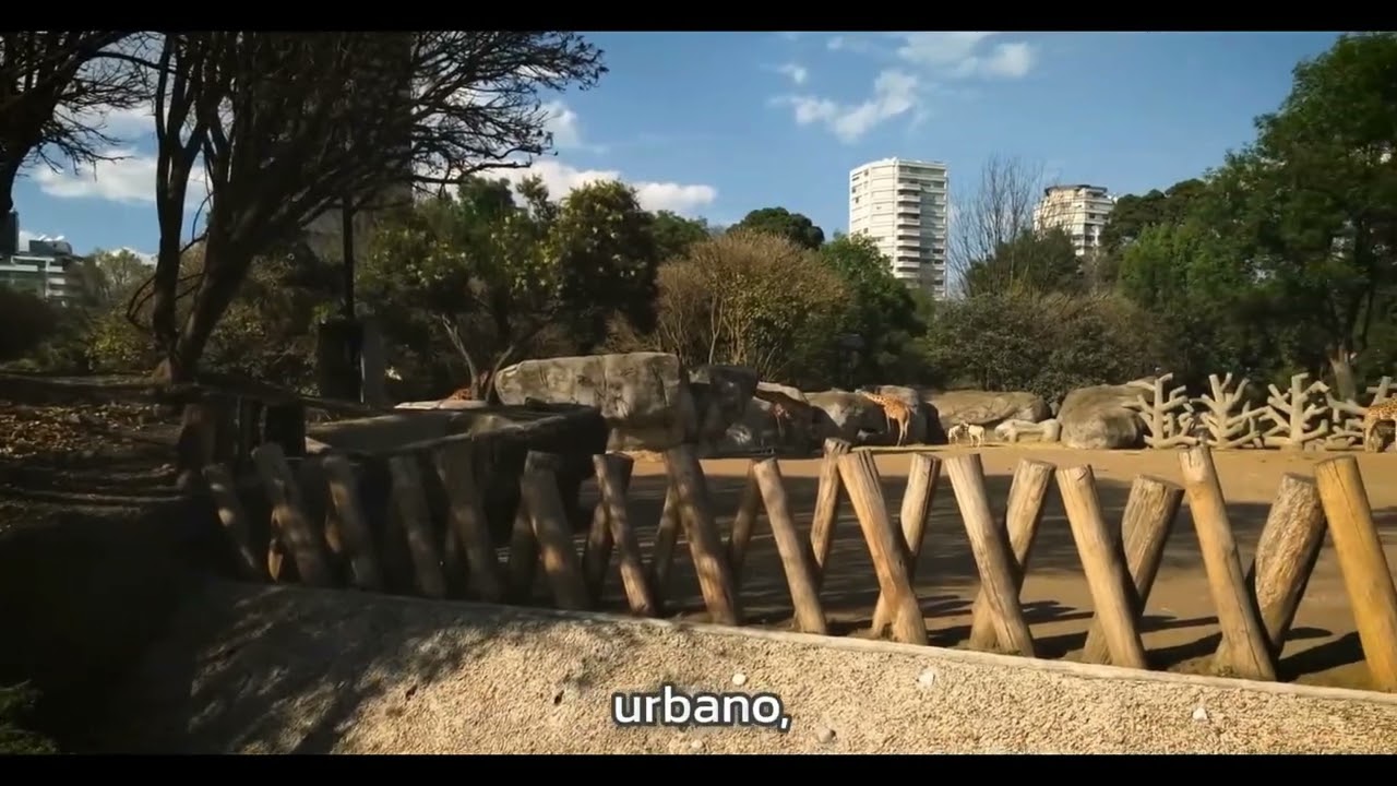 Beneficios de los Espacios Verdes Urbanos_ Salud, Biodiversidad y Sostenibilidad.