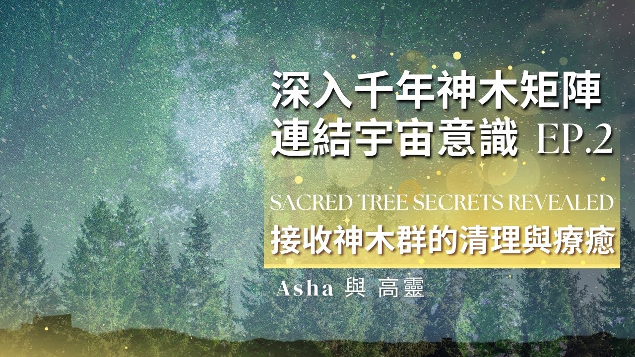 🌲【千年神木的啟示2】｜Millennium Sacred Tree Matrix 深入神木能量場！重新連結宇宙意識與自我 Healing Energy, Cosmic Consciousness