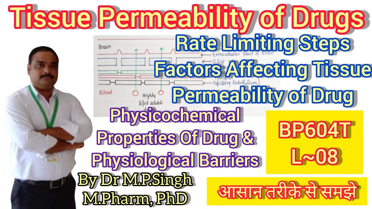 Tissue Permeability of Drugs | Drug Distribution | Biopharmaceutics & Pharmacokinetic | BP604T | L~8