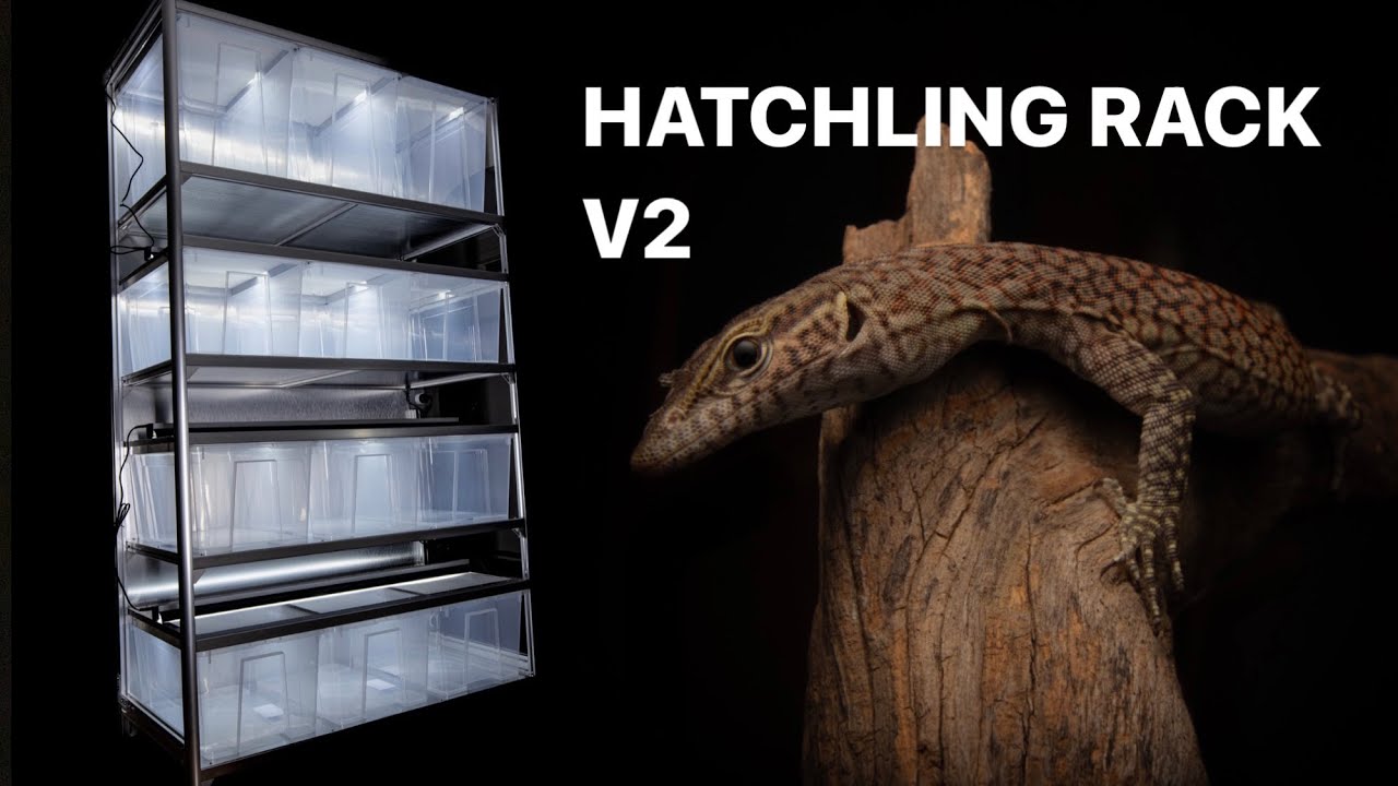 DIY Demo: Lizard Hatchling Rack V2