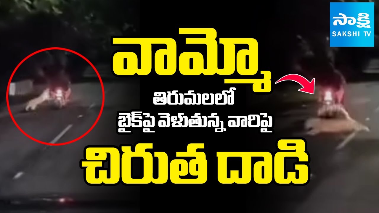ఇద్దరిపై చిరుత దాడి | Leopard attack on Biker in Tirumala Alipiri Road |  @sakshitv