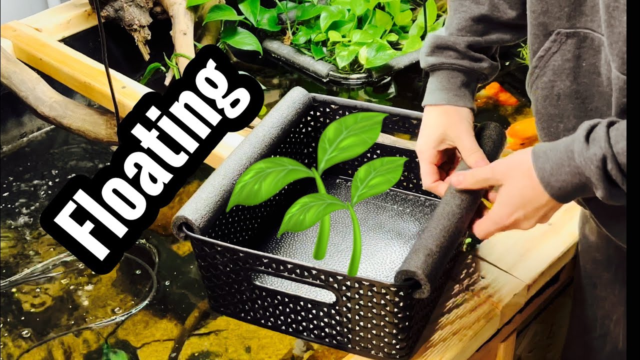 DIY Floating Plant Baskets for my Pond